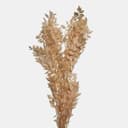 RUSCUS-7