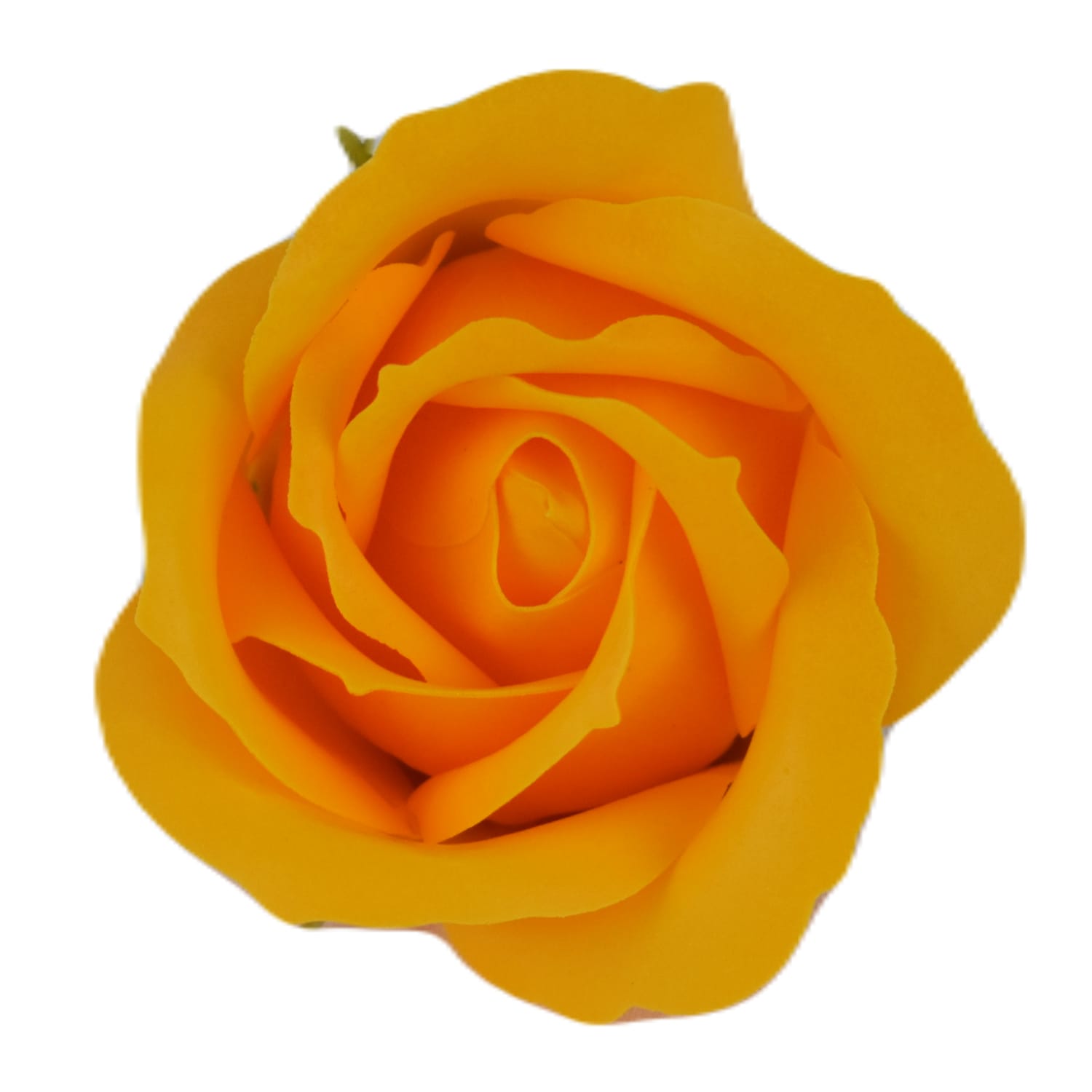 Róże mydlane golden – 50 szt