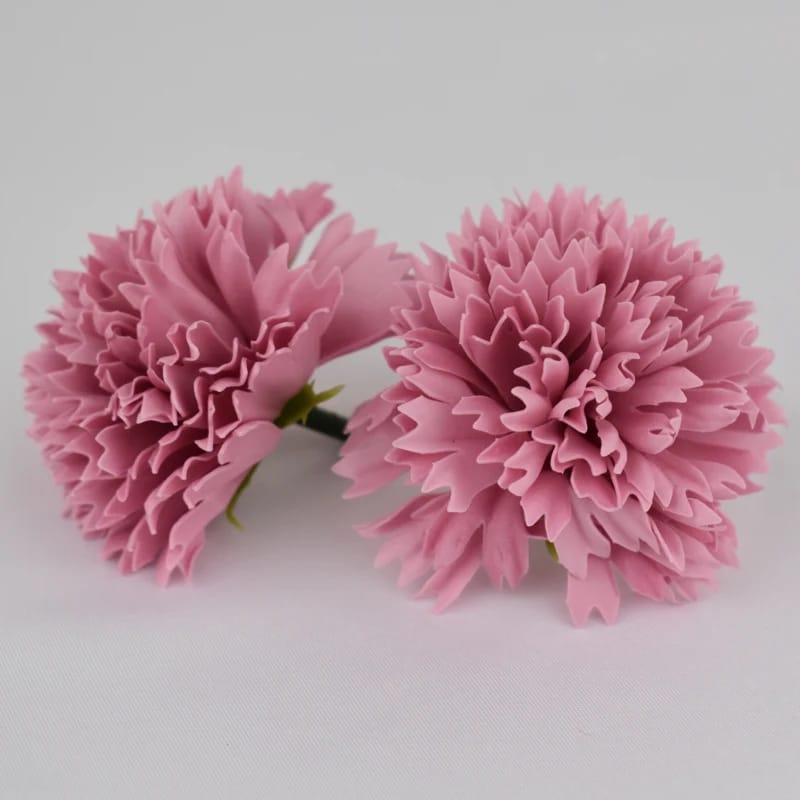Goździki mydlane lotus root pink – 50szt