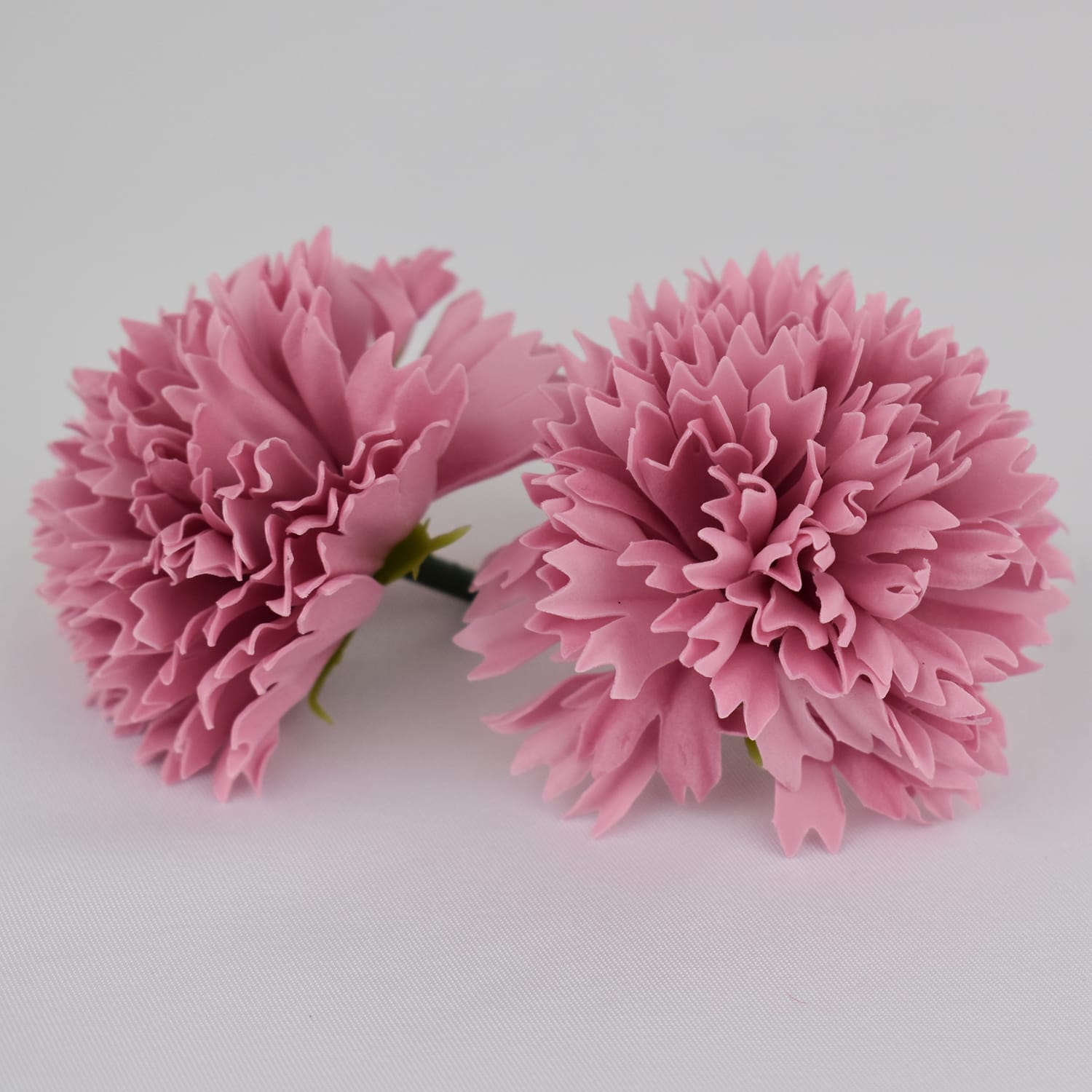 Goździki mydlane lotus root pink – 50szt