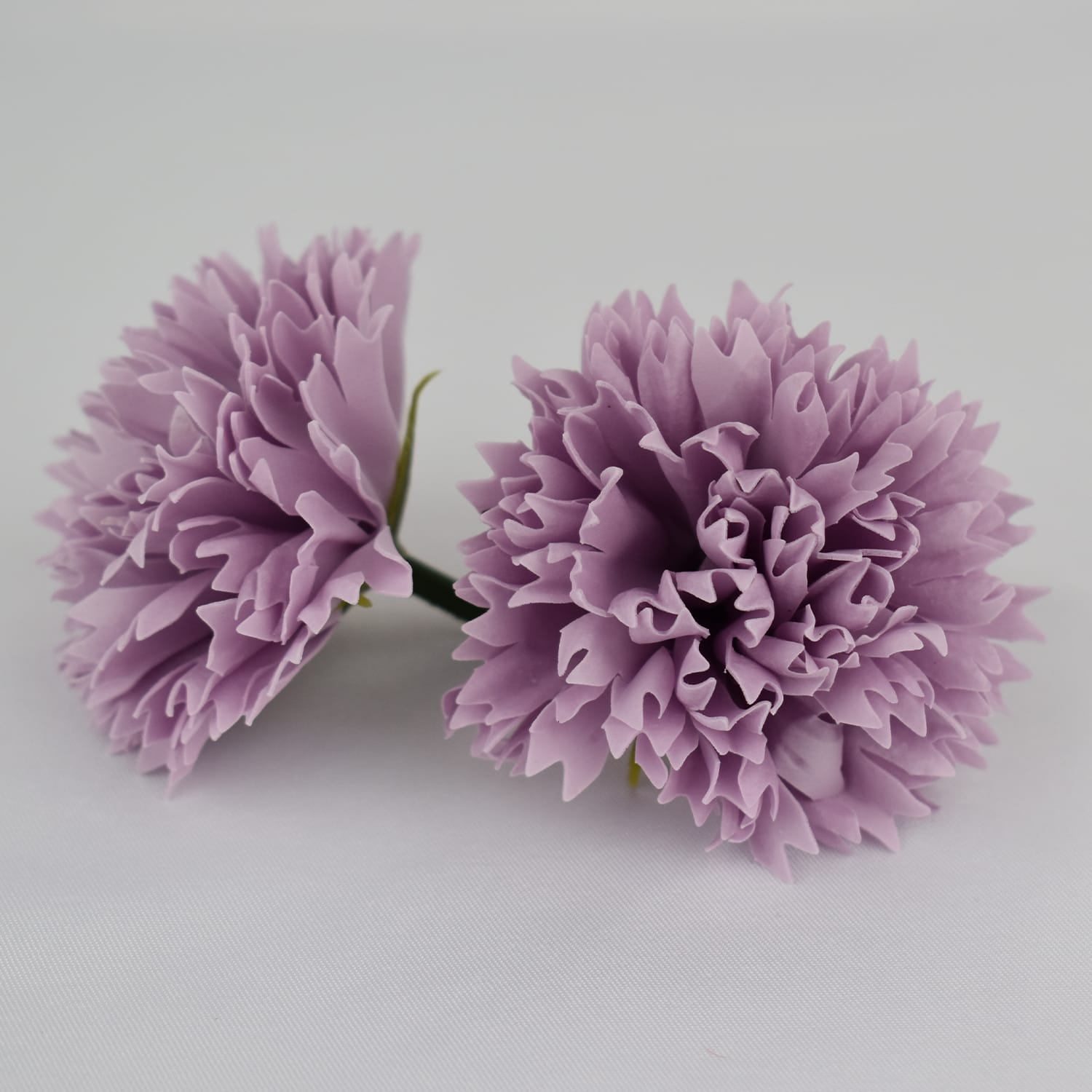 Goździki mydlane gray purple – 50szt