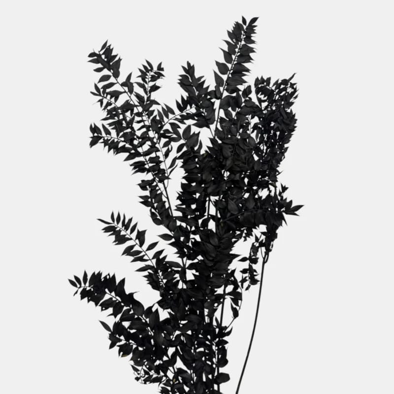 Ruskus | CZARNY | 11