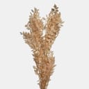 RUSCUS-7