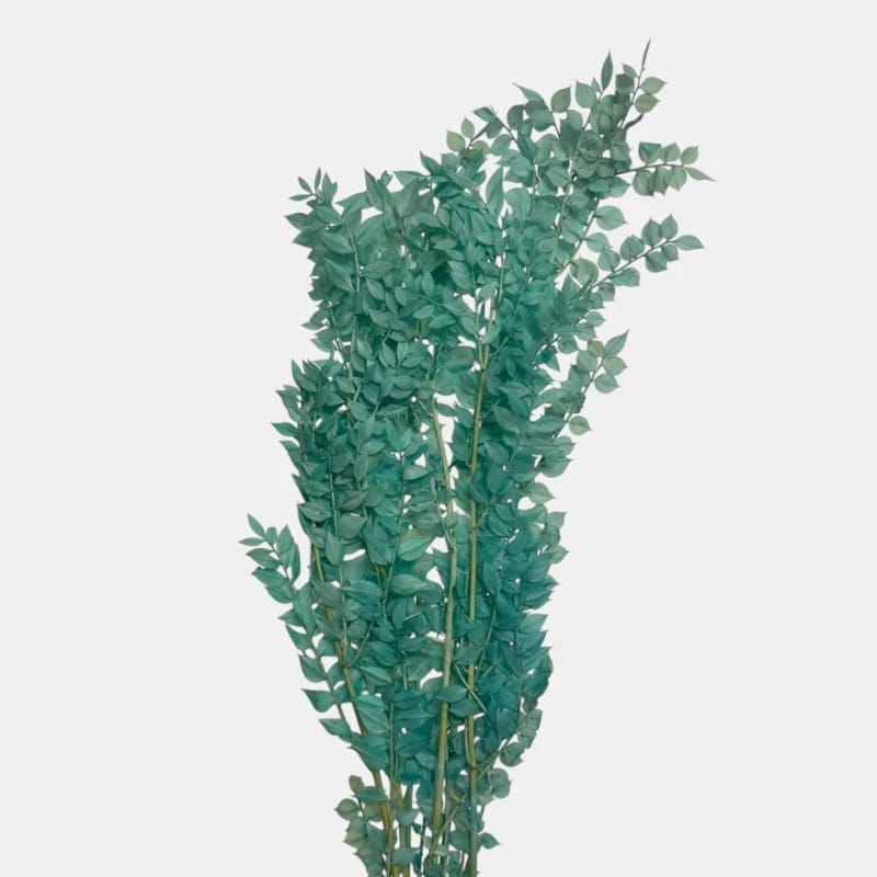 Ruskus | TURKUSOWY | 9