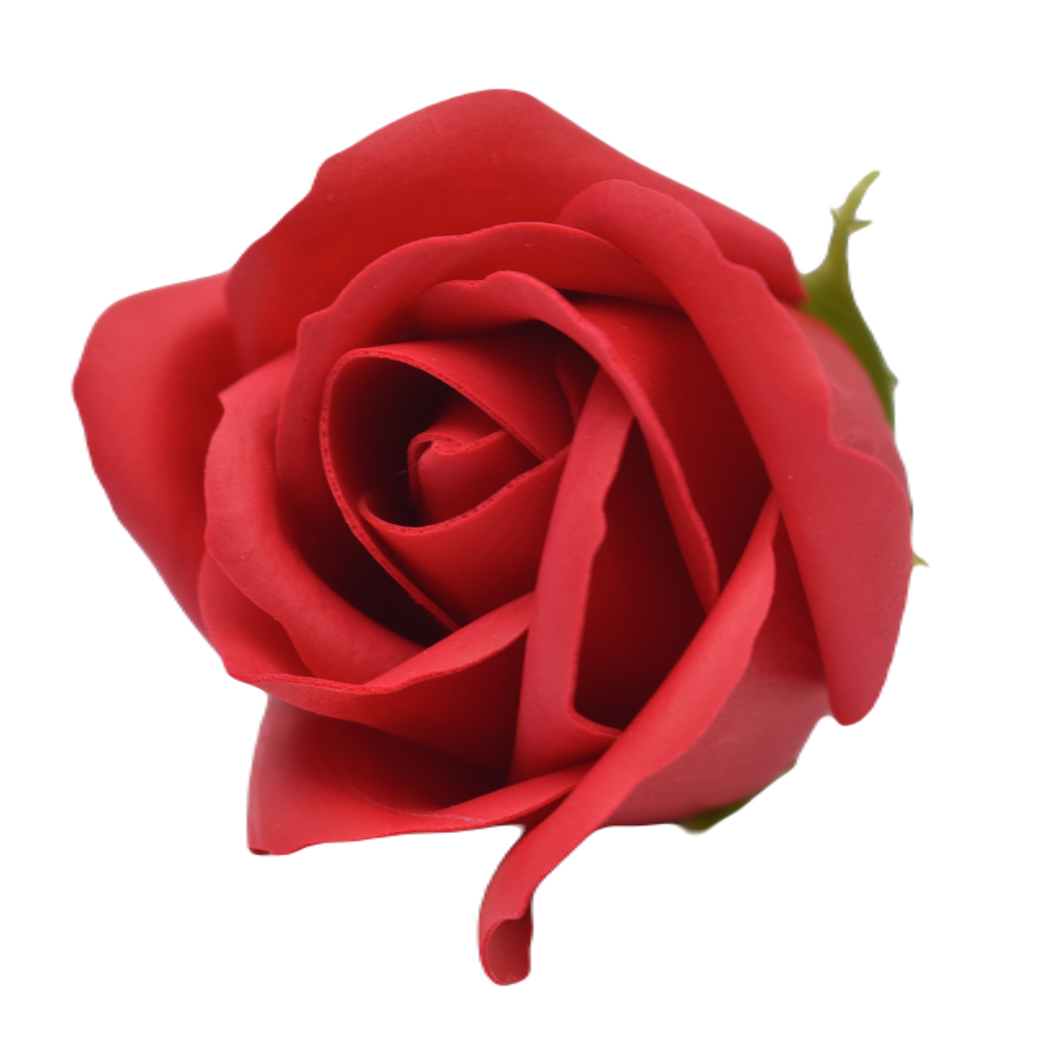 Czerwona róża mydlana